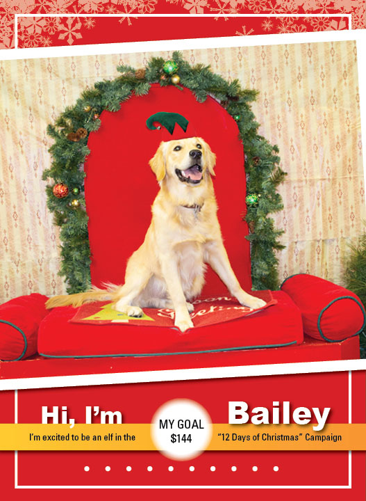 Bailey_ELF_Thumbnail0302