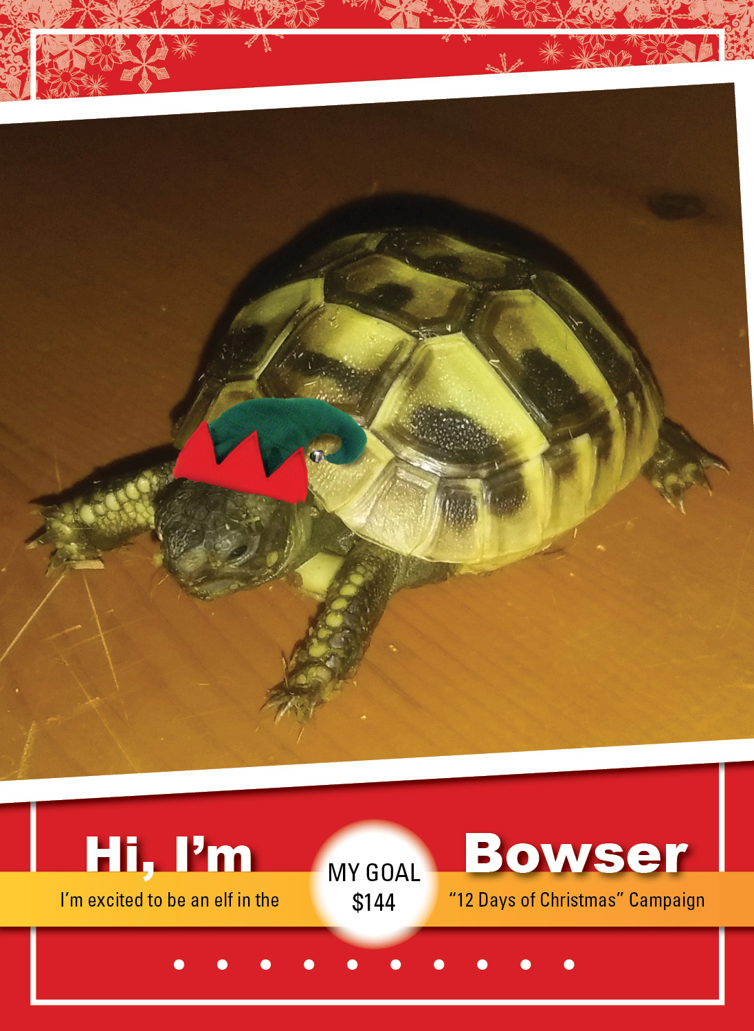 Bowser_ELF_Thumbnail