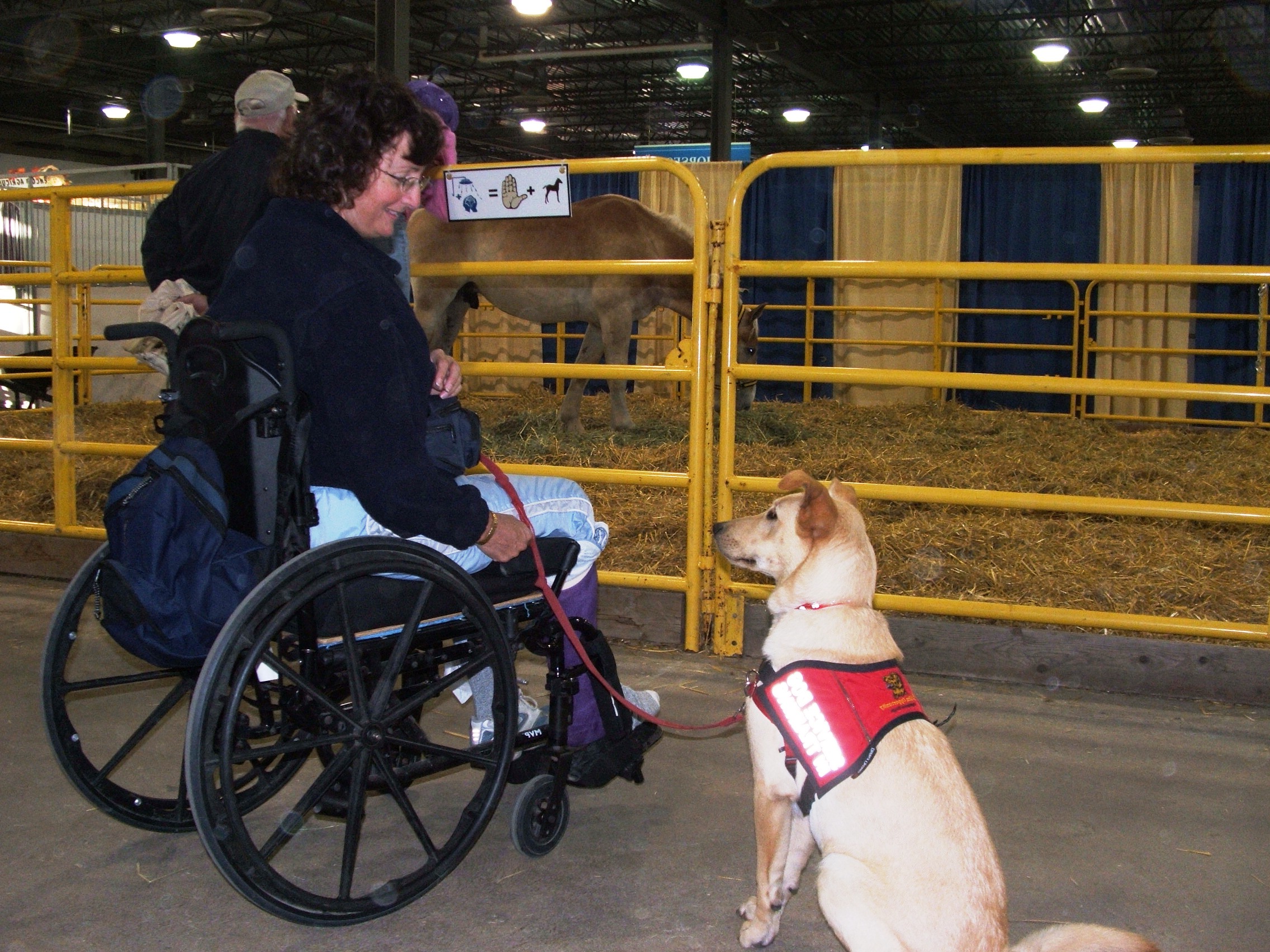 Brenda at the Fair