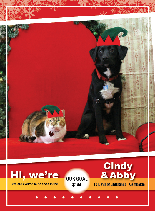 Cindy and Abby_2016 203