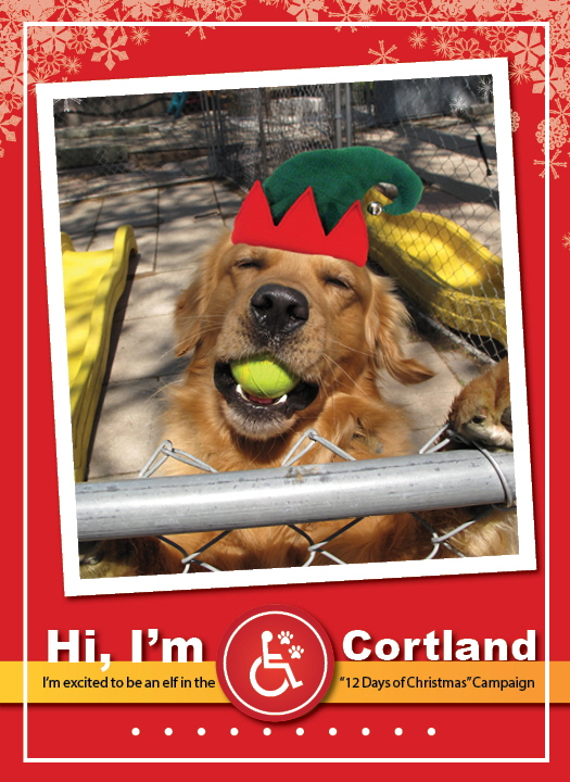 Cortland1