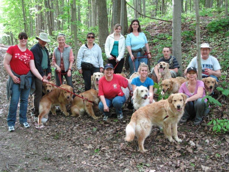 Dog walkers