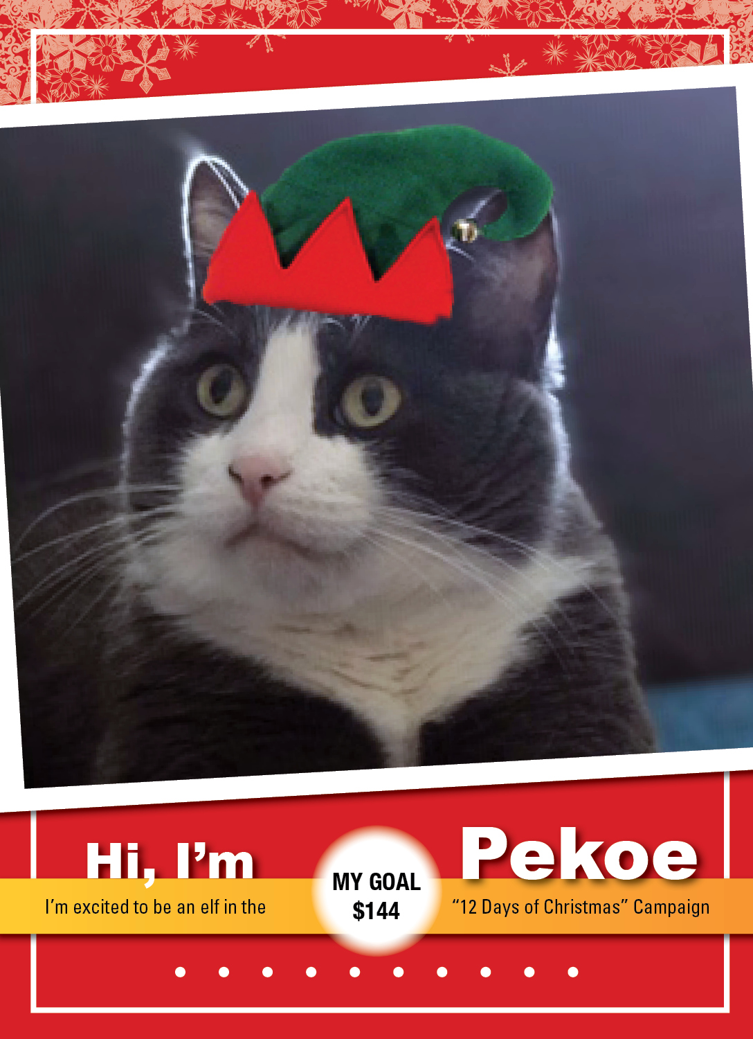 GoldenOpportunities_ELVES 2019_Pekoe