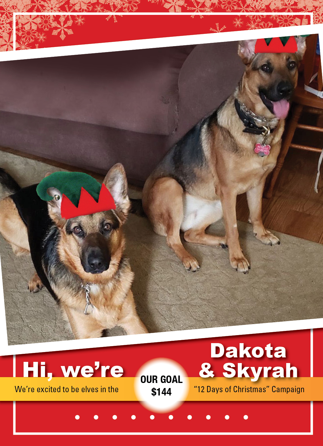 GoldenOpportunities_K9 ELVES 2019_Dakota and Skyrah02