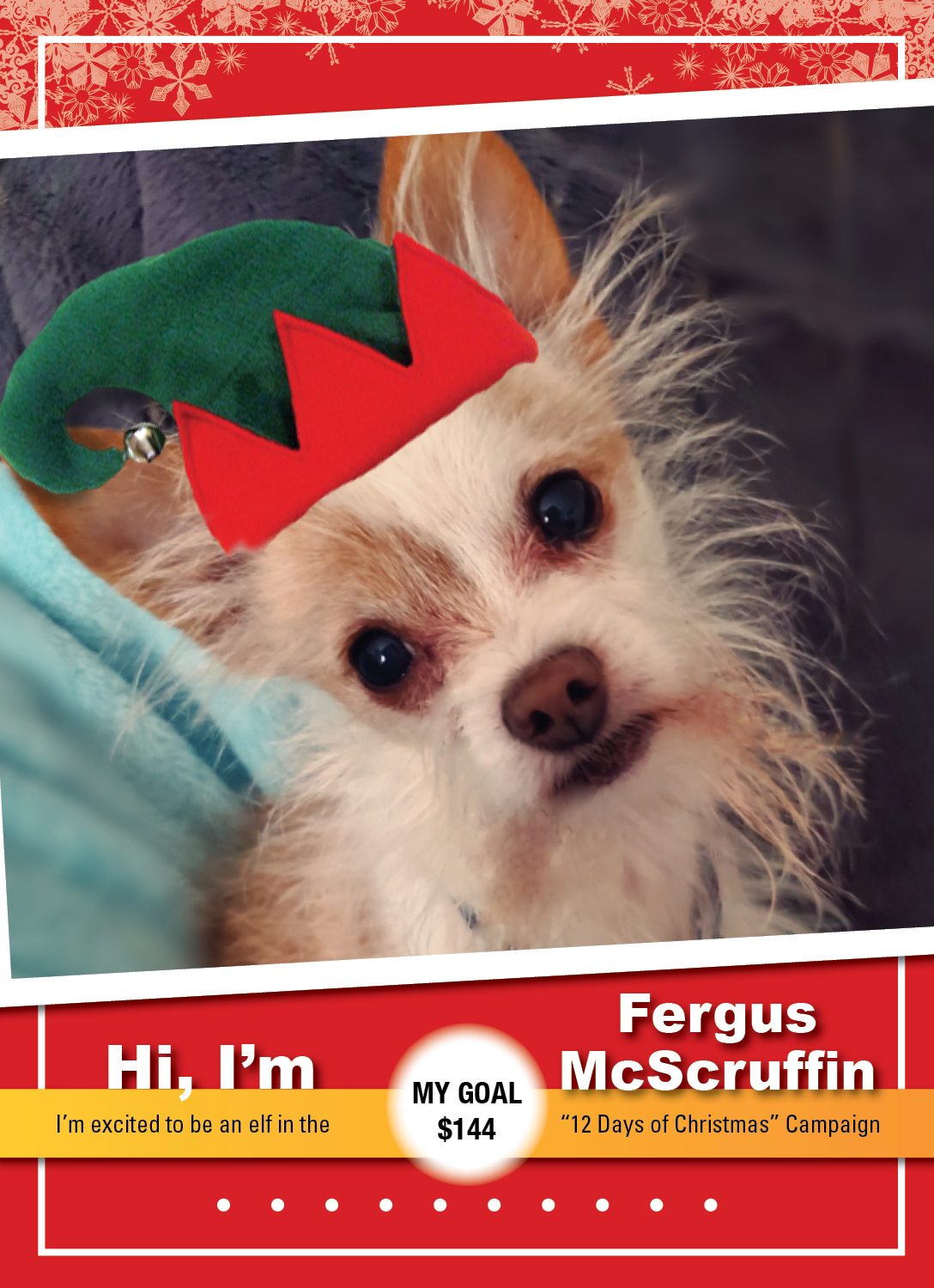 GoldenOpportunities_K9 ELVES 2019_FergesMcScruffin2