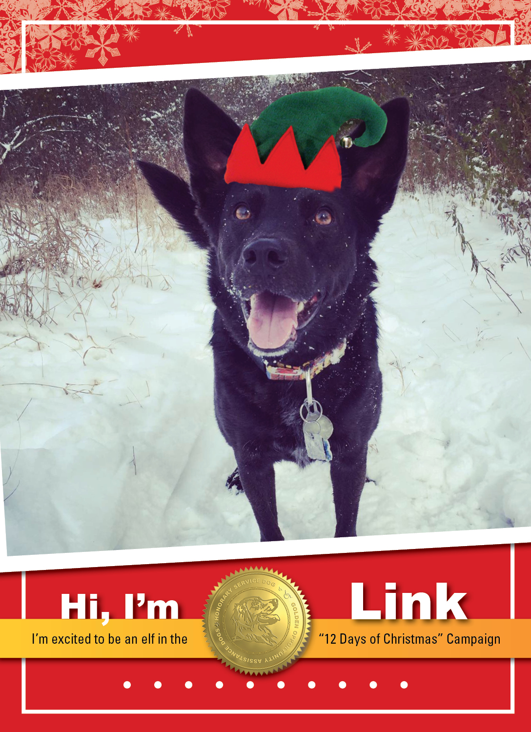 GoldenOpportunities_K9 ELVES 2019_Link2