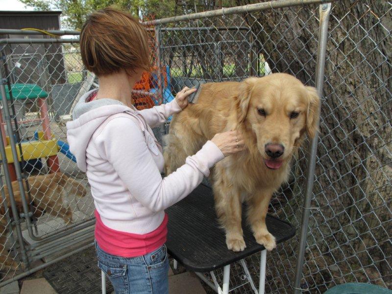 Grooming02 Grooming02