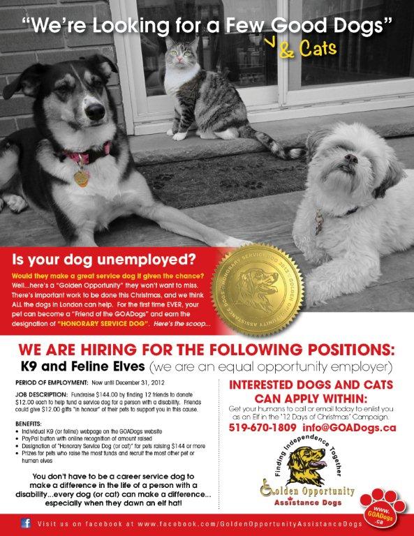 Honorary_Elf Flyer