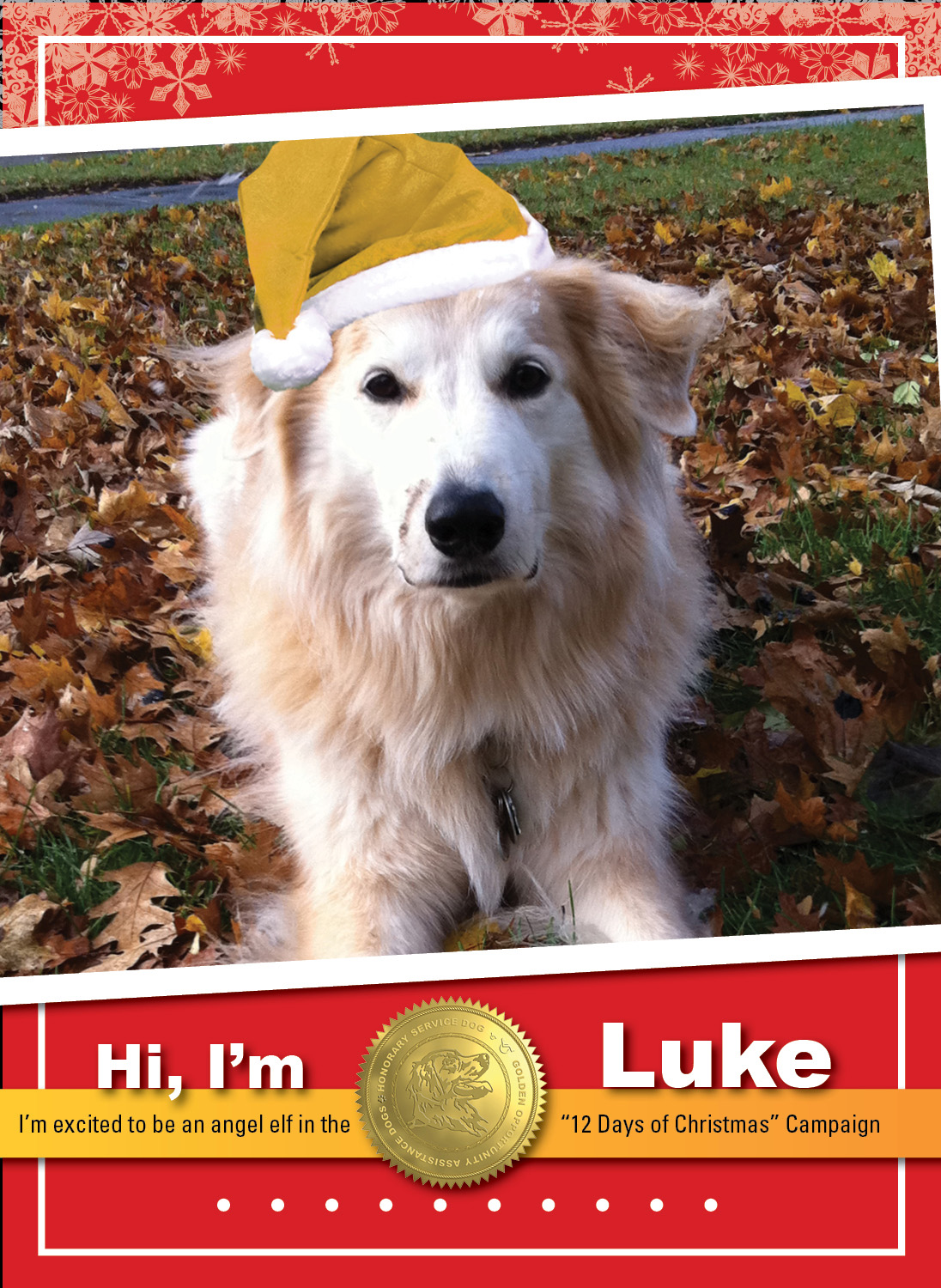 Luke_Angel Elf_Thumbnail Complete0602