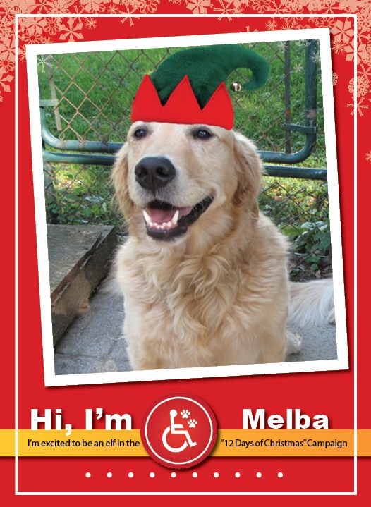 Melba12