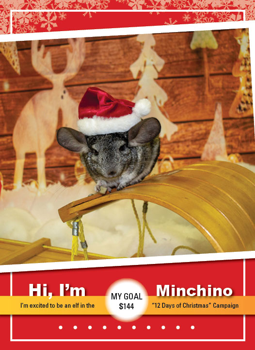 Minchino_Thumbnail