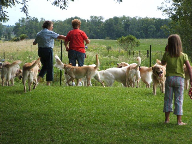 Playyard Patrol