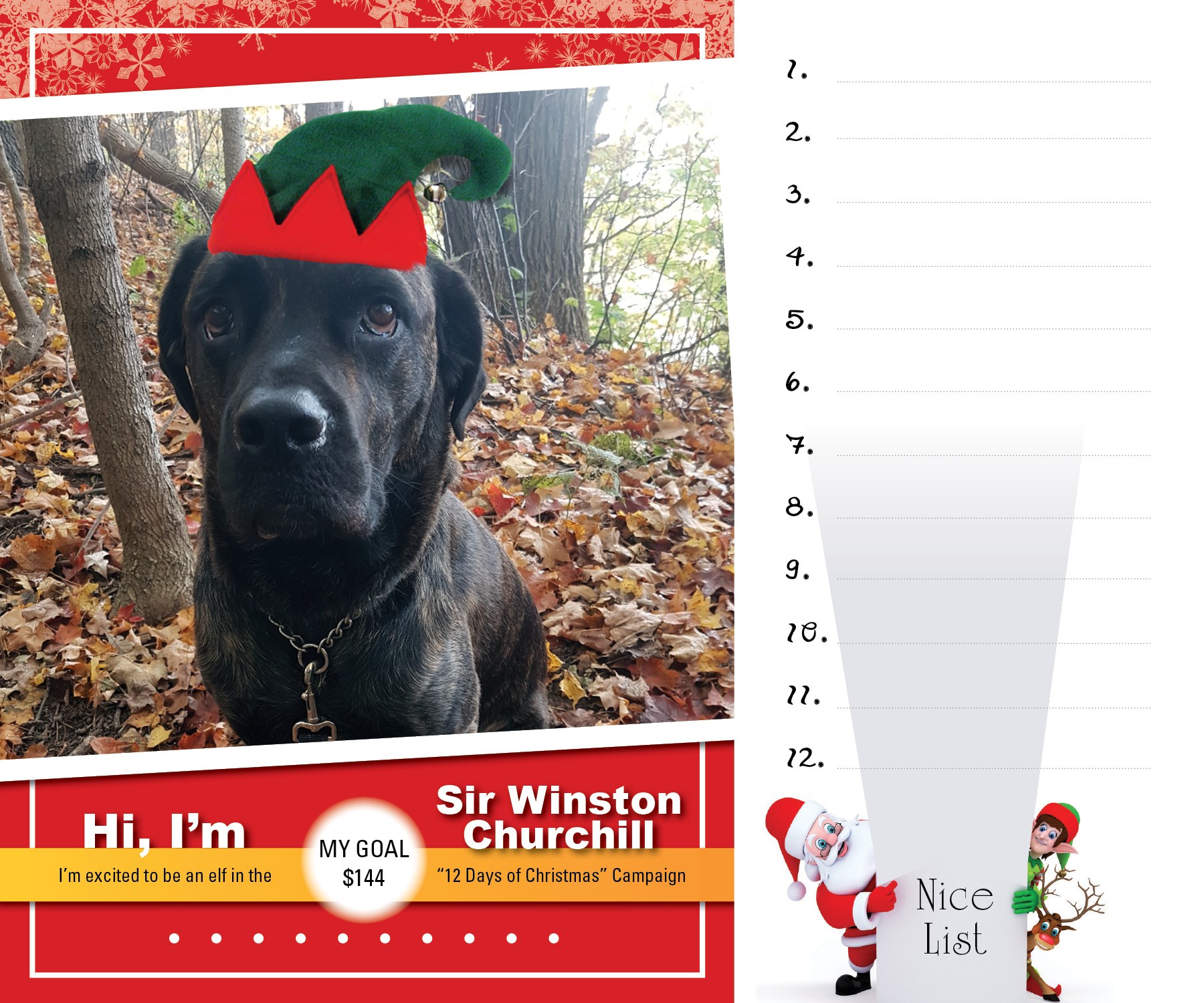 Sir Winston Churchill_ELF