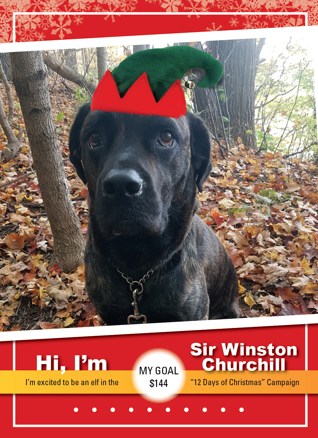 Sir Winston Churchill_ELF_Thumbnail