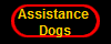 Assistance 
Dogs